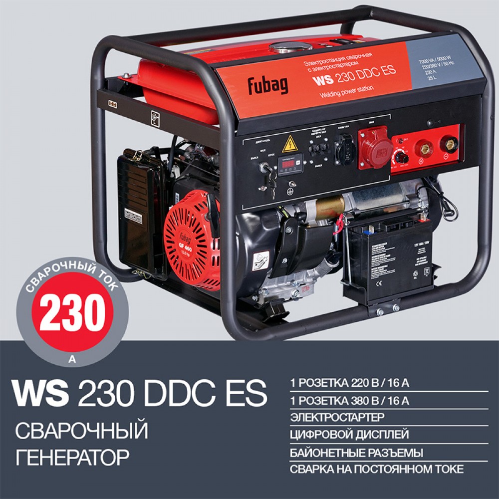 Электростанция сварочная WS 230 DDC ES 