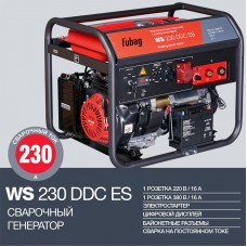 Электростанция сварочная WS 230 DDC ES 